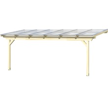 Houten carport met transparant dak