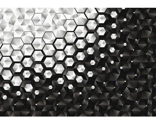 Fotobehang vlies Hexagon 368x254 cm