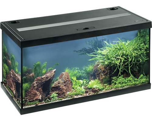 EHEIM Aquarium Aquastar LED zwart 54 L, 60x30x30 cm-0