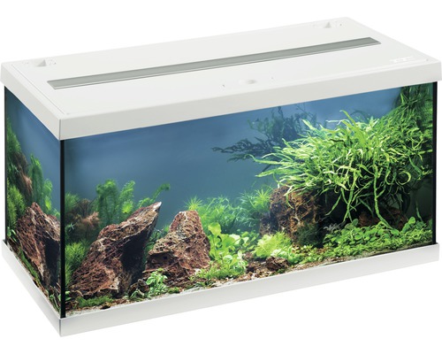 EHEIM Aquarium Aquastar LED wit 54 L, 60x30x30 cm