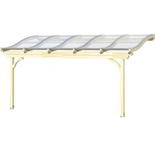 Houten carport met transparant dak