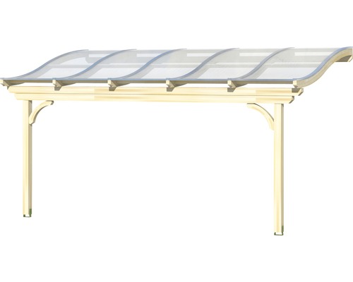 Houten carport met transparant dak