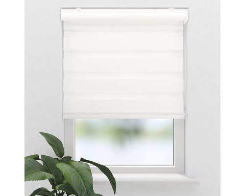 Raam met rolgordijn voor lichtregeling