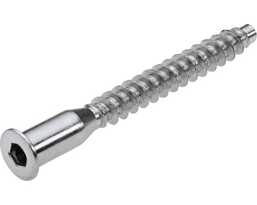 Houtschroef met binnenzeskant