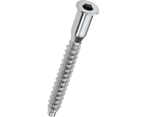 HETTICH Verbindingsschroef 6,3x60 mm verzinkt, 50 stuks Houtschroef met inbuskop
