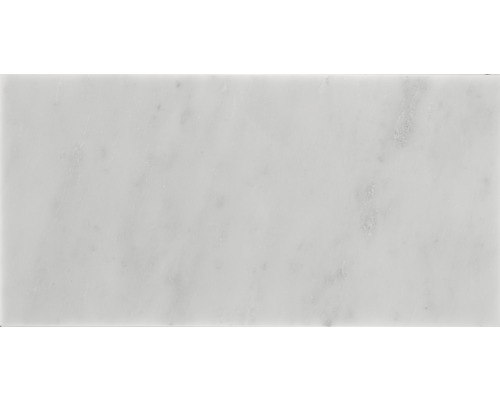 Wand- en vloertegel Thassos wit marmer 30,5x61 cm