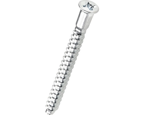 HETTICH Verbindingsschroef Direkta 4x40 mm, 50 stuks Houtschroef met bolkop en kruiskop