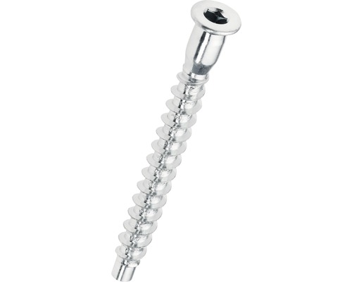 HETTICH Verbindingsschroef 5x50 mm verzinkt, 50 stuks Metalen schroef met verzonken kop en binnenzeskant