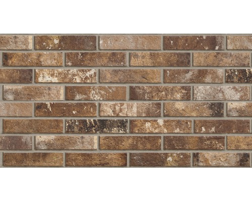 Steenstrip Brick antica formace rood 6x25 cm