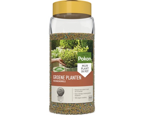 POKON Groene Planten Voedingskorrels 800 gr Pokon mestkorrels voor groene planten in transparante pot