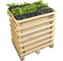 Houten plantenbak met planten in potten op een pallet