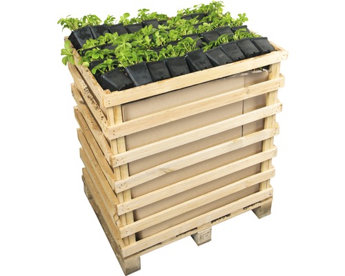 Houten plantenbak met planten in potten op een pallet