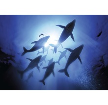 Illustratie van een groep walvissen en een duiker in de zee