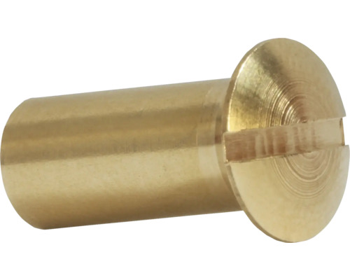 DRESSELHAUS Hulsmoer 4x7x14 mm messing, 100 stuks Messingkleurige sleufschroef
