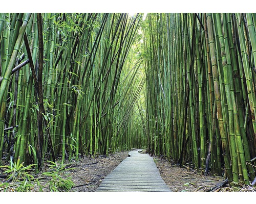Fotobehang papier bamboe 254x184 cm
