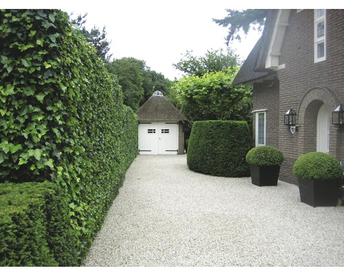 Buitenaanzicht van een huis met heggen, planten in potten en een carport
