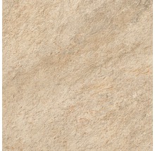Close-up van een beige vloertegel met een matte afwerking.