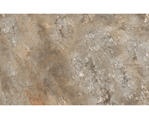 Wand- en vloertegel Ardesia beige-bruin 41x66 cm Steengoed tegel met mat oppervlak