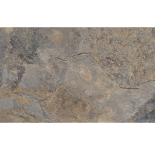 Wand- en vloertegel Ardesia grijs 66,2x40,8 cm