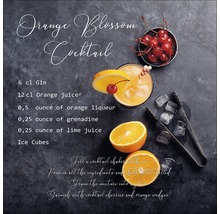 Orange Blossom cocktail met ingrediënten en bereidingswijze.