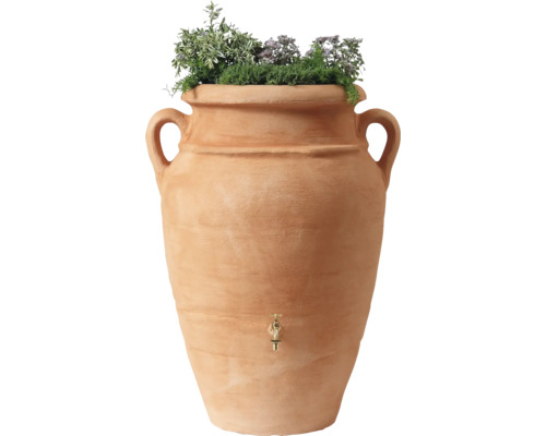Terracotta regenton met planten en messing kraan
