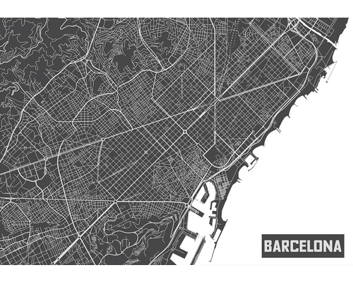 Fotobehang papier Map Barcelona 254x184 cm