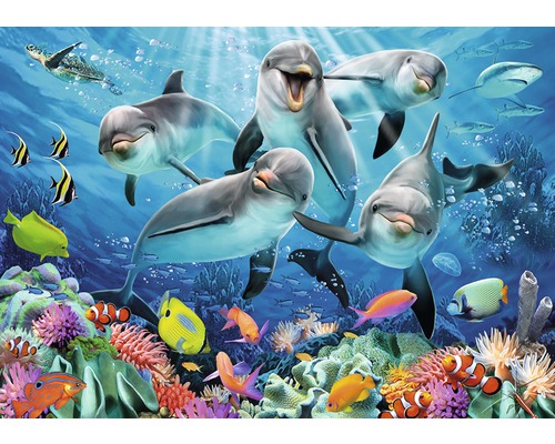 Fotobehang papier Selfies Dolfijn 254x184 cm