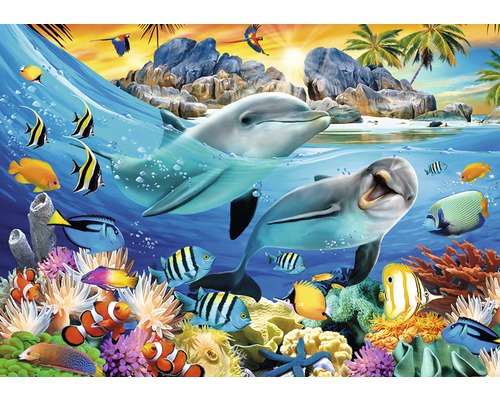 Fotobehang papier Selfies Dolfijn 254x184 cm