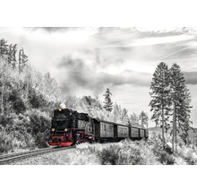 Stoomlocomotief met wagons op rails in landschap