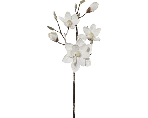 Decoratieve magnoliatak met bloemen en knoppen