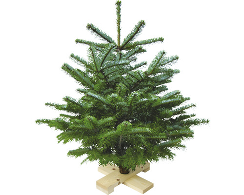 Kerstbomen