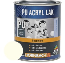 Blik PU-acryllak met kleurvoorbeeld