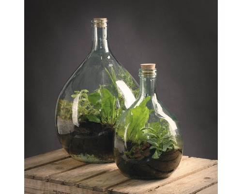 Twee glazen flessenterrariums met planten op houten kist