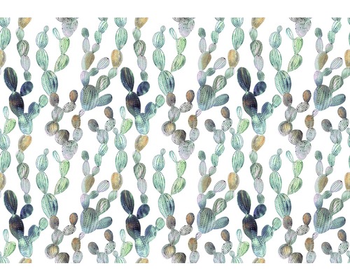 Fotobehang papier Cactus 254x184 cm