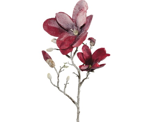 Magnolia 63cm rood