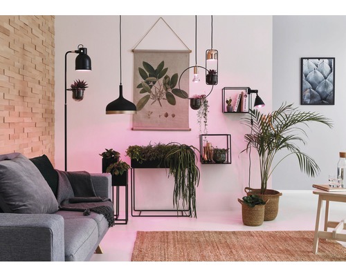 Woonkamer met bank, vloerlamp, hanglampen, wandplanken en kamerplanten