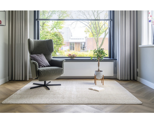 Woonkamer met fauteuil, vloerkleed en kamerplant bij het raam
