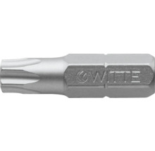 WITTE Bit Stainless ¼" 25 mm Torx T 25