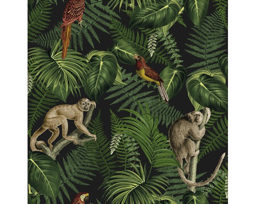 Behang met jungle motieven, inclusief apen, vogels en weelderig groen