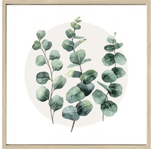 Eucalyptus takken kunstprint in lijst
