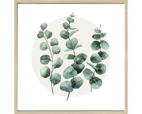 Eucalyptus takken kunstprint in lijst