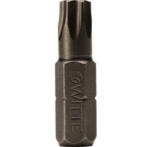 WITTE Bit Industrie ¼" 25 mm Torx T 10, 10 stuks-thumb-0