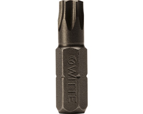 WITTE Bitset Industrie 1/4" 25 mm Torx T10/T15/T20, 3-delig
