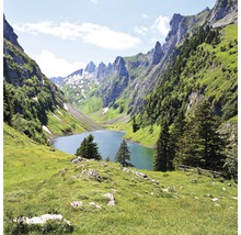 Berglandschap met meer en groene weiden