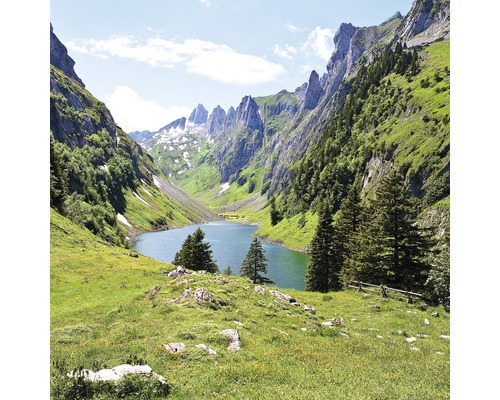 PURE LIVING Schilderij glas Bergidylle I 20x20 cm Berglandschap met meer en rotsformaties