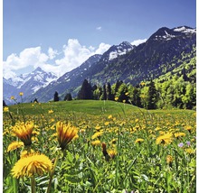 Weidelandschap met paardenbloemen en bergpanorama op de achtergrond