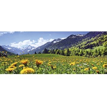 Landschap met bloeiende weide en berglandschap