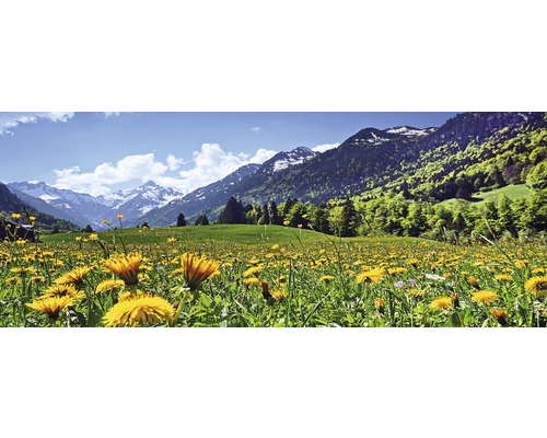 Landschap met bloeiende weide en berglandschap