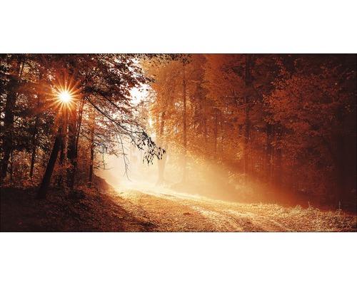 PURE LIVING Aluminium schilderij Autumn Forest II 200x100 cm