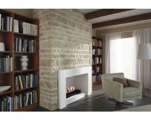 Woonkamer met open haard, boekenkasten en fauteuil